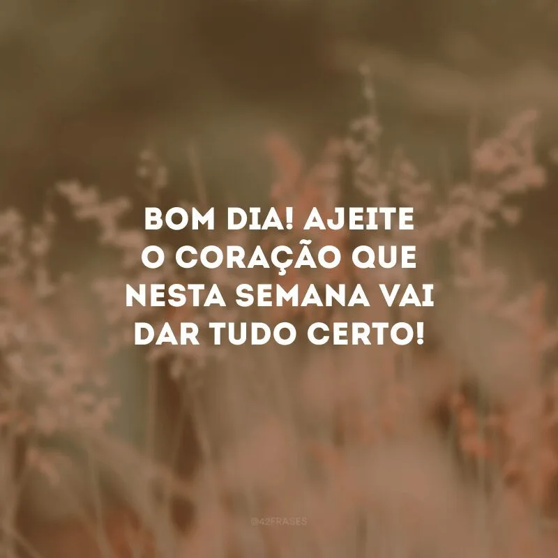 Bom dia! Ajeite o coração que nesta semana vai dar tudo certo!