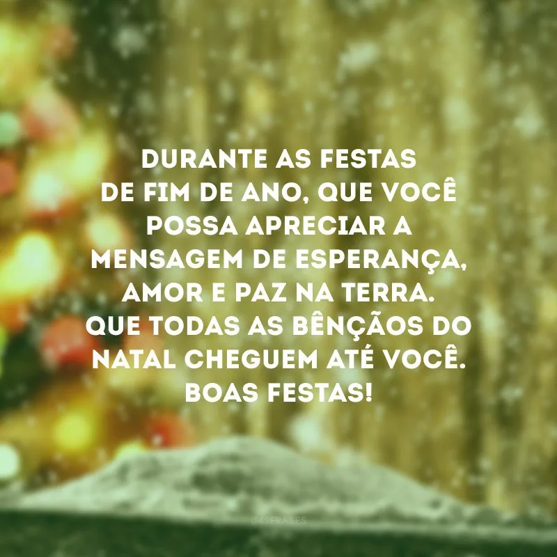 Durante as festas de fim de ano, que você possa apreciar a mensagem de esperança, amor e paz na Terra. Que todas as bênçãos do Natal cheguem até você. Boas Festas!