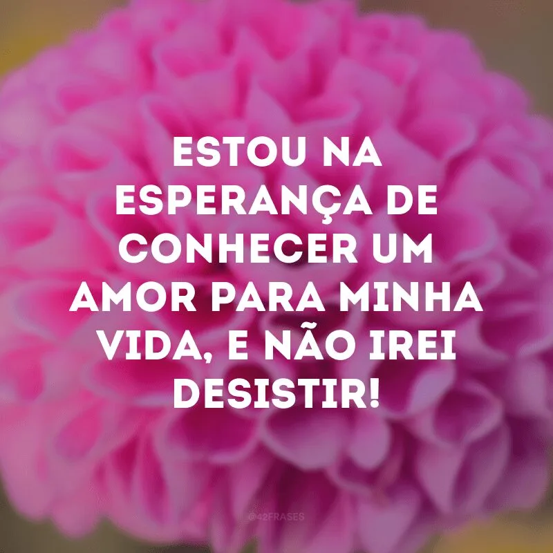 Estou na esperança de conhecer um amor para minha vida, e não irei desistir!