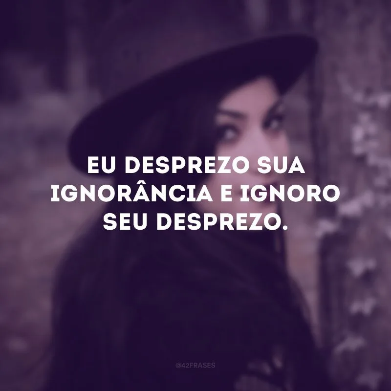 Eu desprezo sua ignorância e ignoro seu desprezo. 