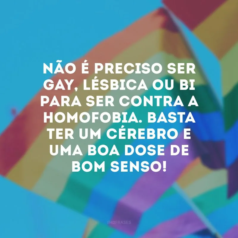 Não é preciso ser gay, lésbica ou bi para ser contra a homofobia. Basta ter um cérebro e uma boa dose de bom senso!