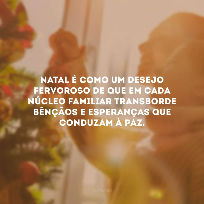 Natal é como um desejo fervoroso de que em cada núcleo familiar transborde bênçãos e esperanças que conduzam à paz.