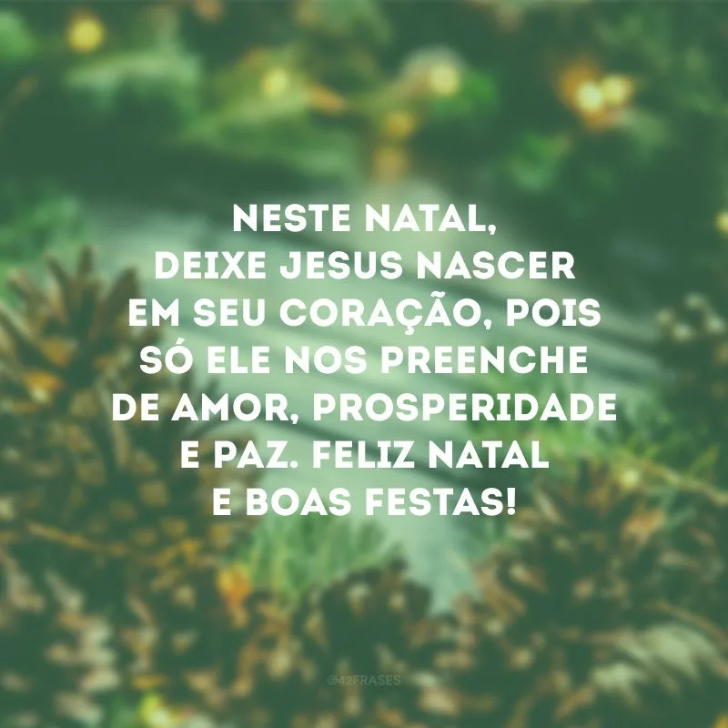 Neste Natal, deixe Jesus nascer em seu coração, pois só ele nos preenche de amor, prosperidade e paz. Feliz Natal e Boas Festas!