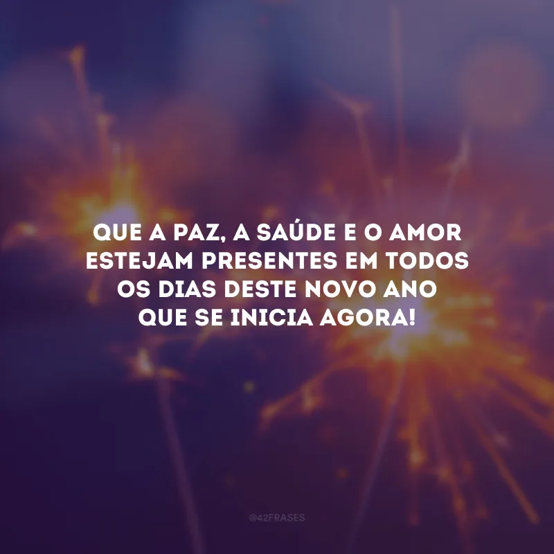 Que a paz, a saúde e o amor estejam presentes em todos os dias deste novo ano que se inicia agora!
