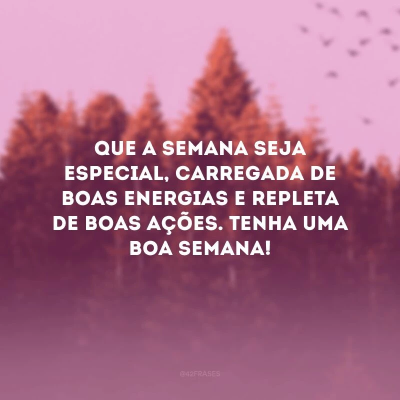 Que a semana seja especial, carregada de boas energias e repleta de boas ações. Tenha uma boa semana!