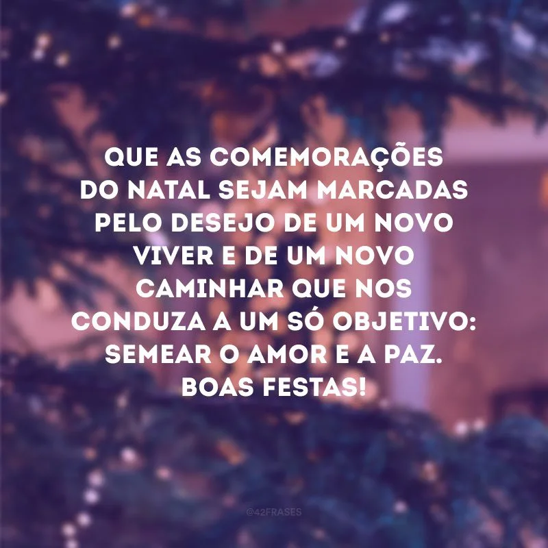 Que as comemorações do Natal sejam marcadas pelo desejo de um novo viver e de um novo caminhar que nos conduza a um só objetivo: semear o amor e a paz. Boas Festas!