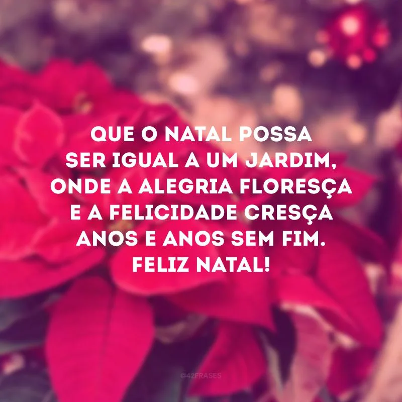 Que o Natal possa ser igual a um jardim, onde a alegria floresça e a felicidade cresça anos e anos sem fim. Feliz Natal!