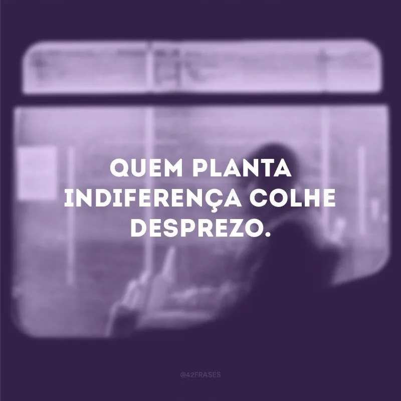 Quem planta indiferença colhe desprezo. 
