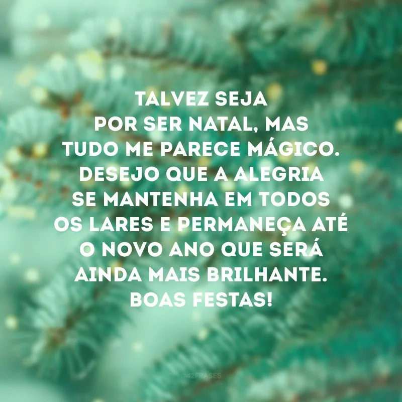 Talvez seja por ser Natal, mas tudo me parece mágico. Desejo que a alegria se mantenha em todos os lares e permaneça até o novo ano que será ainda mais brilhante. Boas Festas!