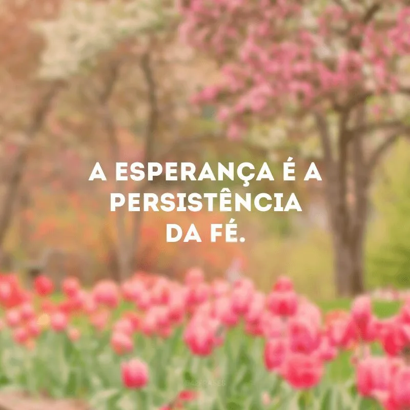 A esperança é a persistência da fé. 