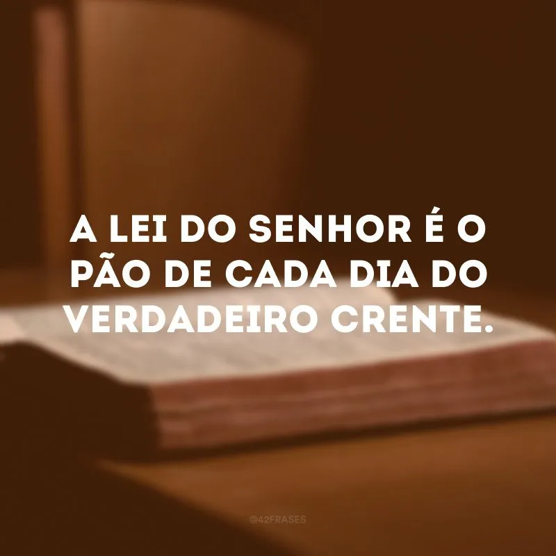A lei do Senhor é o pão de cada dia do verdadeiro crente.