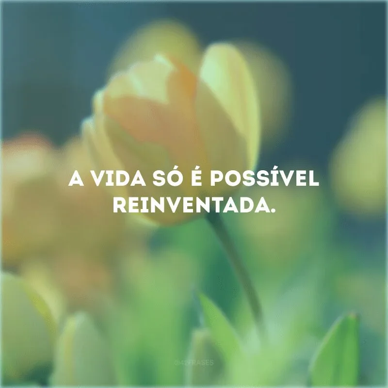 A vida só é possível reinventada.