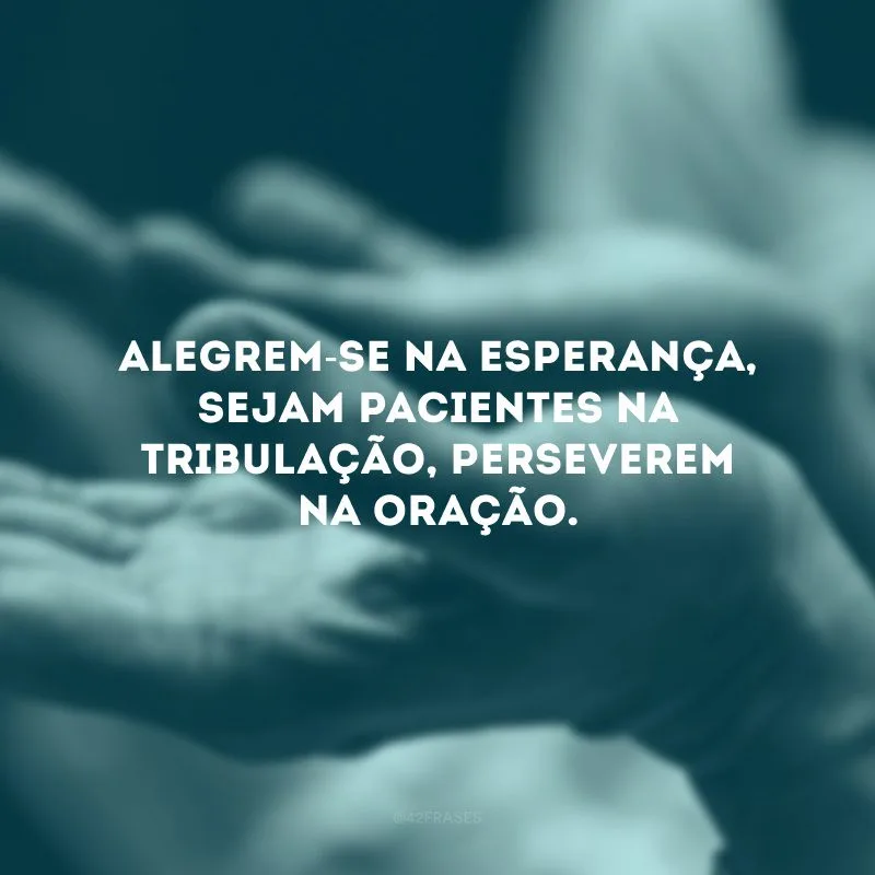 Alegrem-se na esperança, sejam pacientes na tribulação, perseverem na oração. 