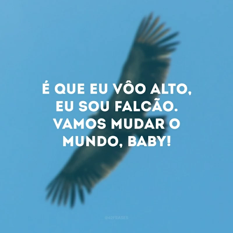 É que eu vôo alto, eu sou falcão. Vamos mudar o mundo, baby!