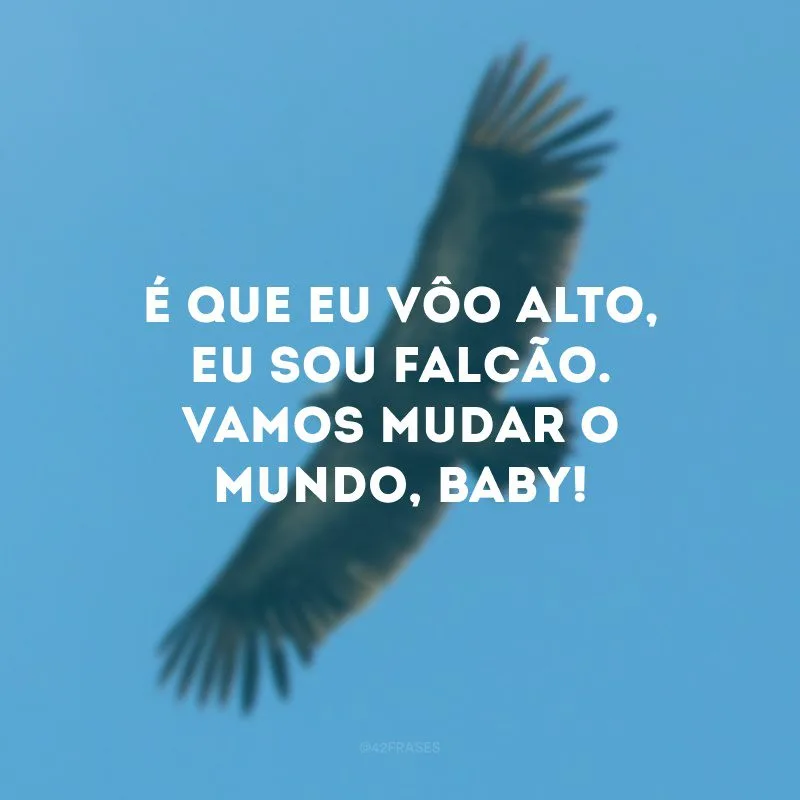 É que eu vôo alto, eu sou falcão. Vamos mudar o mundo, baby!