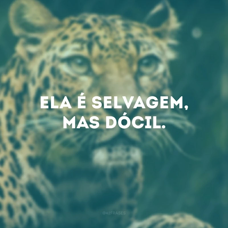 Ela é selvagem, mas dócil. 