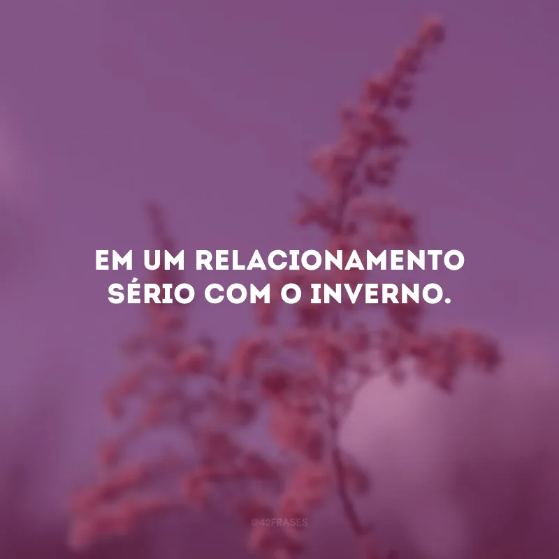 Em um relacionamento sério com o inverno. 