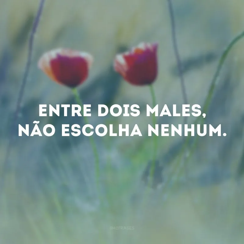 Entre dois males, não escolha nenhum.