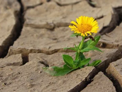 50 frases de esperança e fé para revestir o coração de luz