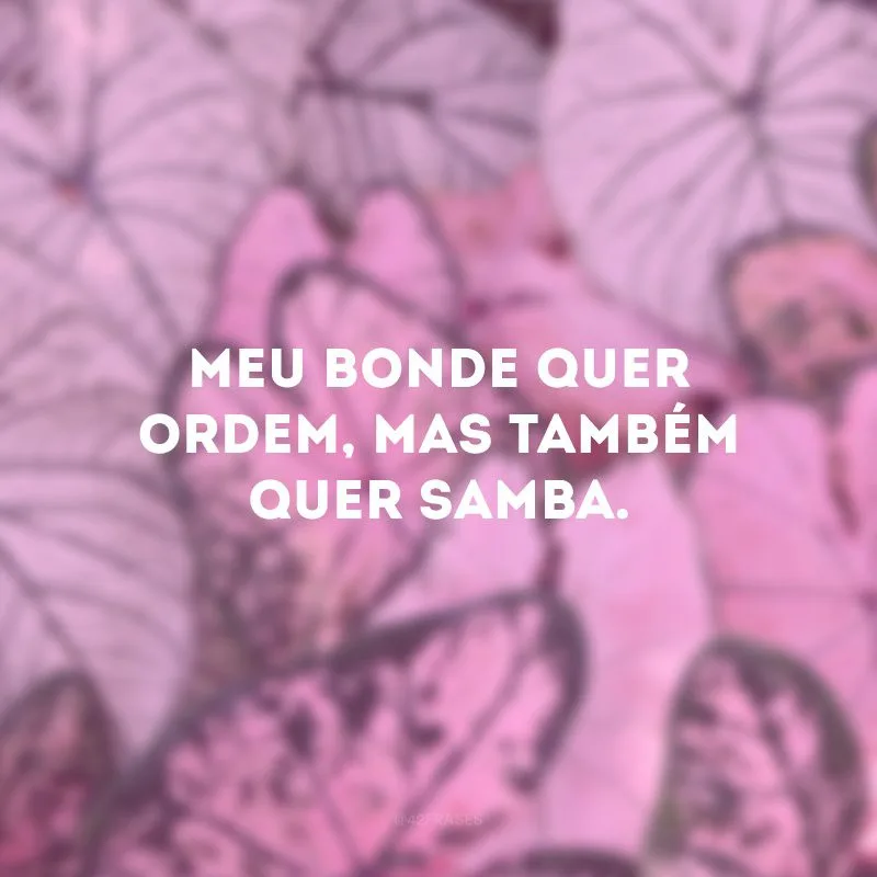 Meu bonde quer ordem, mas também quer samba.
