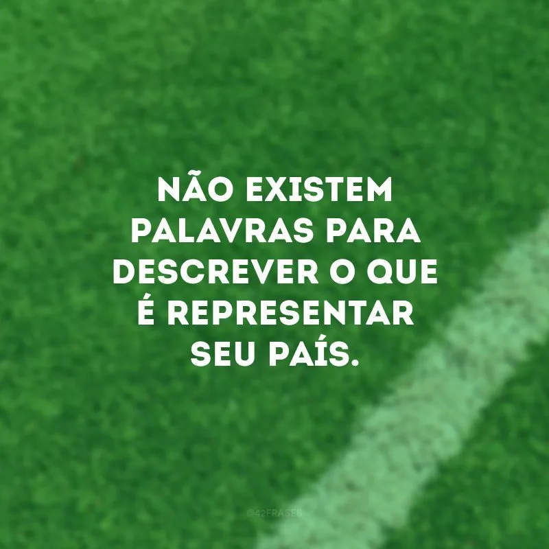 Não existem palavras para descrever o que é representar seu país.