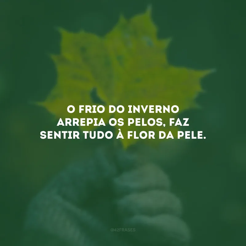 O frio do inverno arrepia os pelos, faz sentir tudo à flor da pele. 