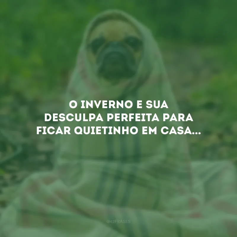 O inverno e sua desculpa perfeita para ficar quietinho em casa...