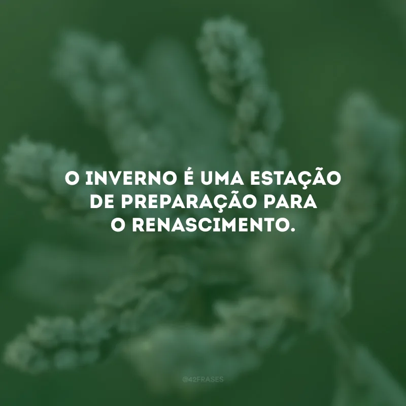 O inverno é uma estação de preparação para o renascimento. 