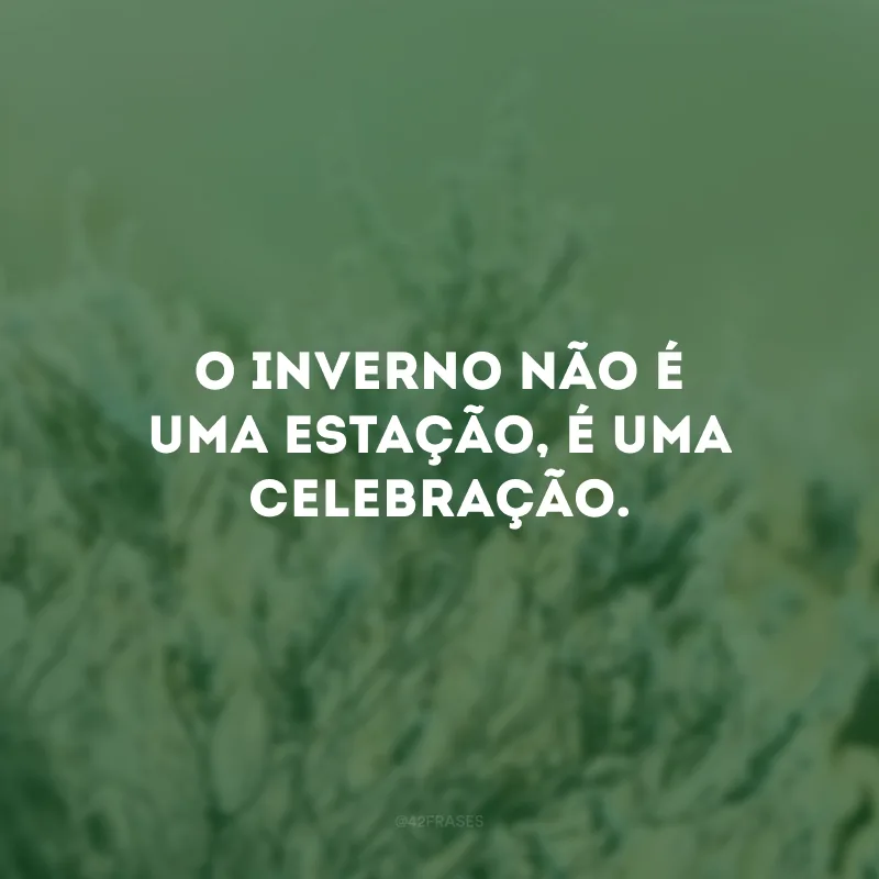O inverno não é uma estação, é uma celebração. 