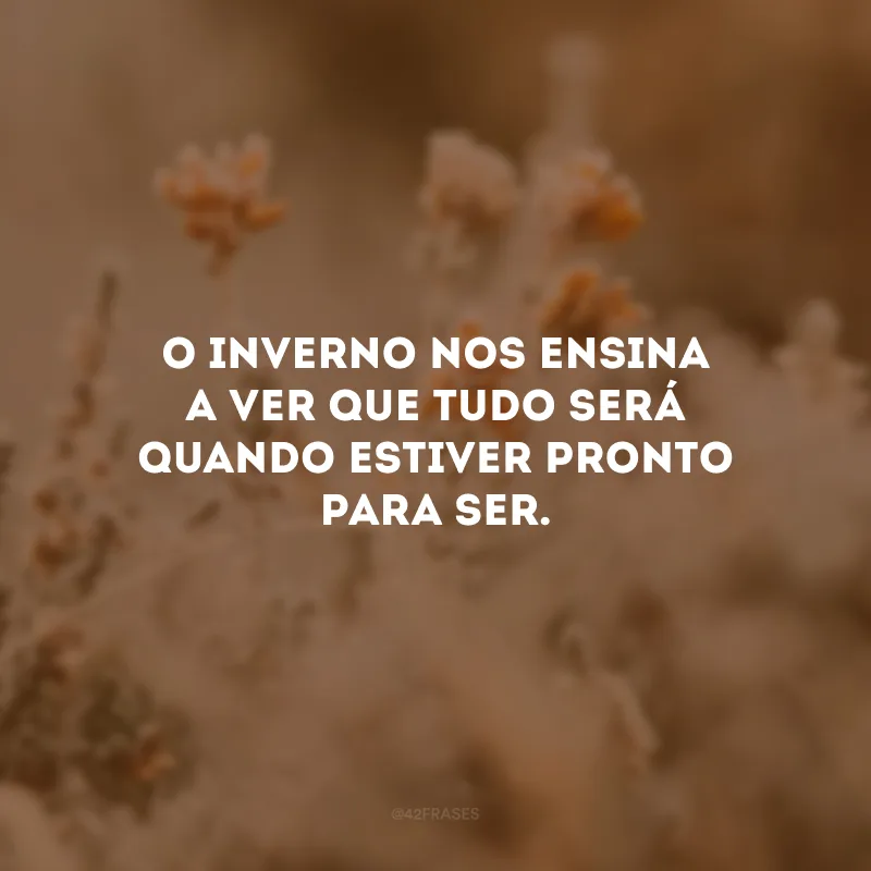 O inverno nos ensina a ver que tudo será quando estiver pronto para ser. 
