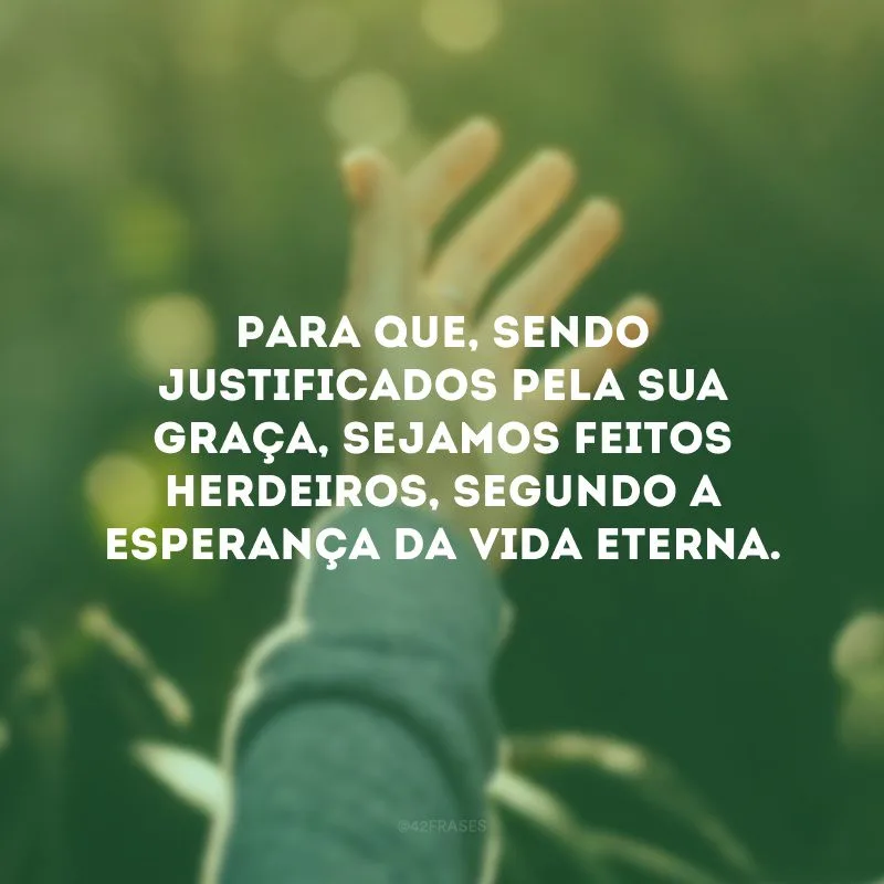 Para que, sendo justificados pela sua graça, sejamos feitos herdeiros, segundo a esperança da vida eterna. 
