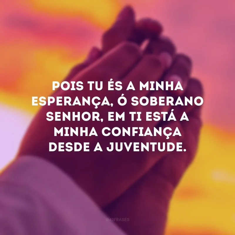 Pois tu és a minha esperança, ó Soberano Senhor, em ti está a minha confiança desde a juventude. 