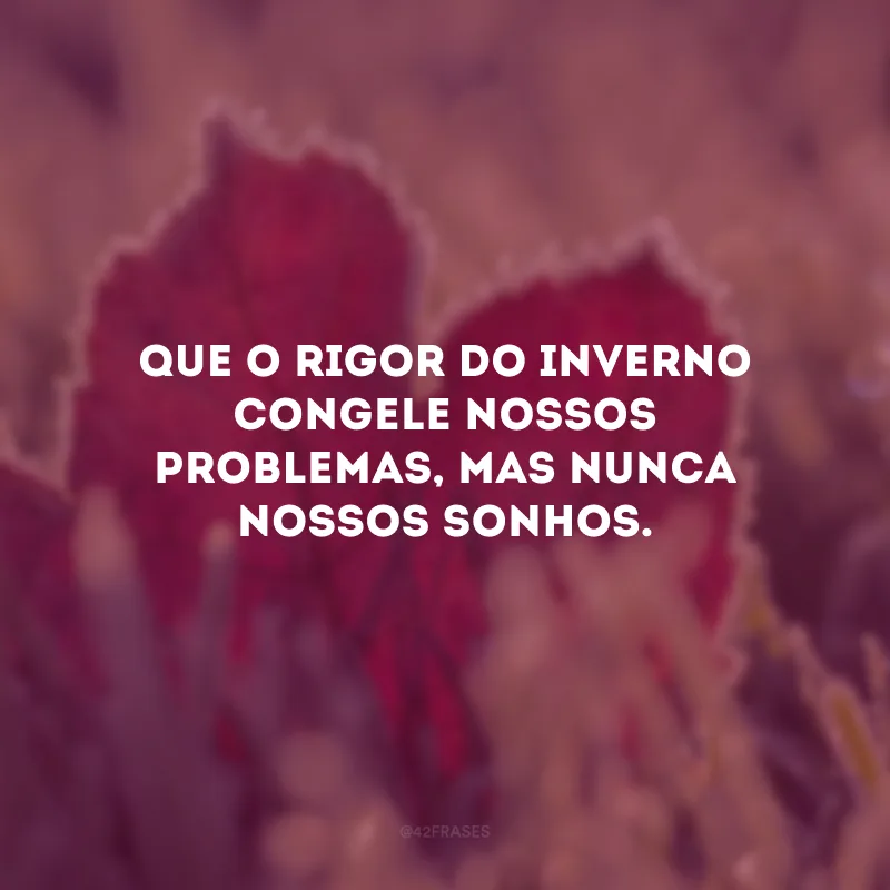 Que o rigor do inverno congele nossos problemas, mas nunca nossos sonhos.