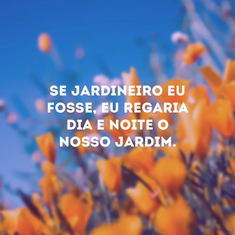 Se jardineiro eu fosse, eu regaria dia e noite o nosso jardim.