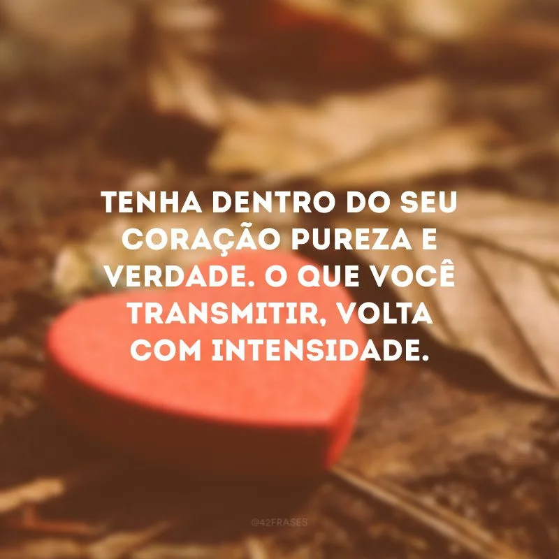 Tenha dentro do seu coração pureza e verdade. O que você transmitir, volta com intensidade.