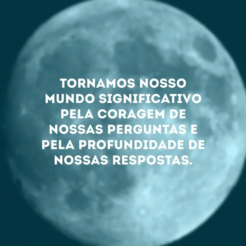 Tornamos nosso mundo significativo pela coragem de nossas perguntas e pela profundidade de nossas respostas.