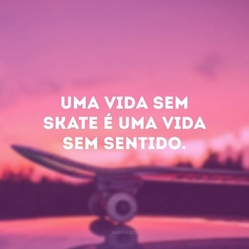 Uma vida sem skate é uma vida sem sentido. 