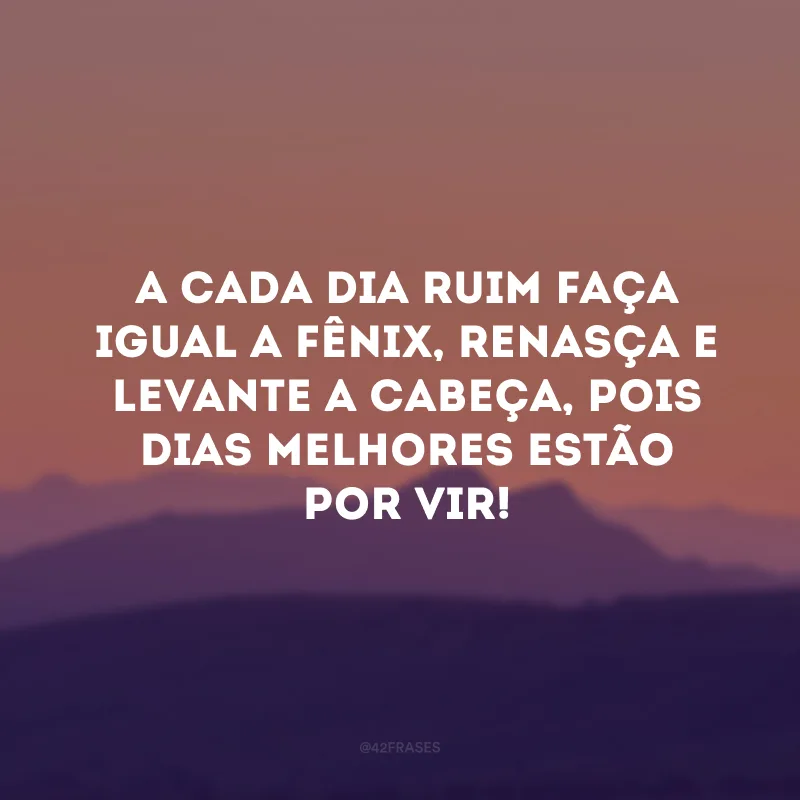 A cada dia ruim faça igual a Fênix, renasça e levante a cabeça, pois dias melhores estão por vir!