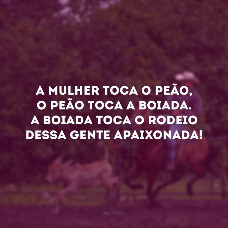 A mulher toca o peão, o peão toca a boiada. A boiada toca o rodeio dessa gente apaixonada!