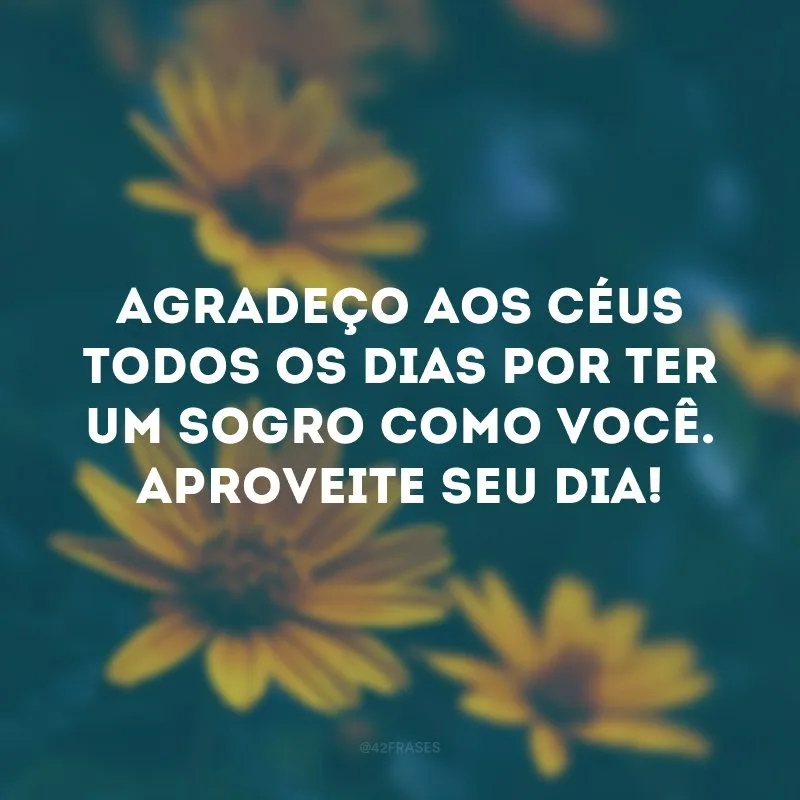 Agradeço aos céus todos os dias por ter um sogro como você. Aproveite seu dia! 