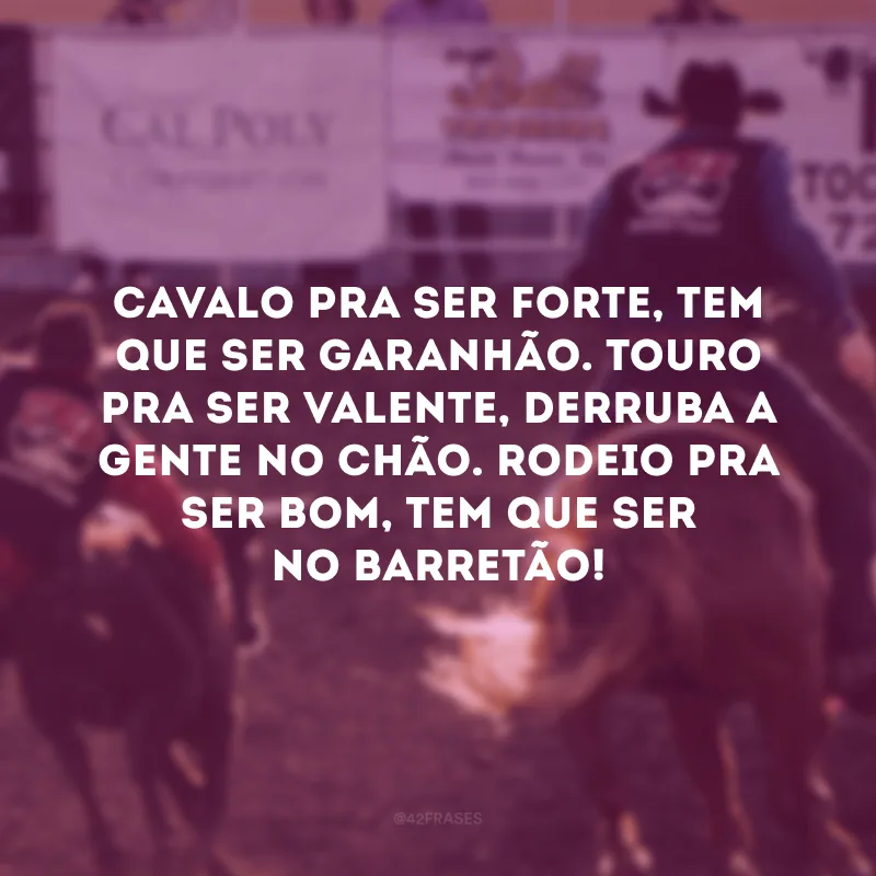 Cavalo pra ser forte, tem que ser garanhão. Touro pra ser valente, derruba a gente no chão. Rodeio pra ser bom, tem que ser no Barretão!