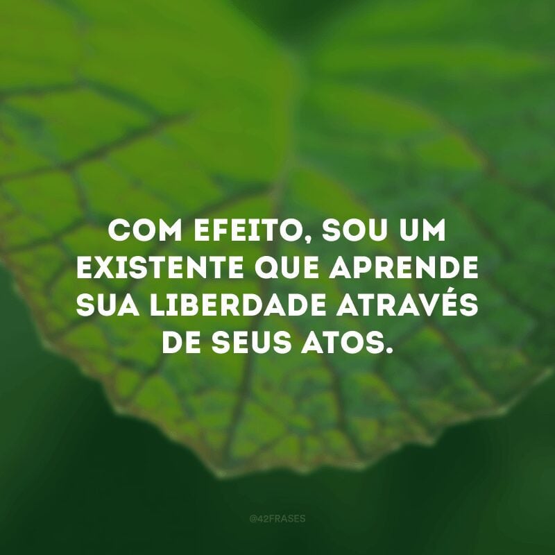 Com efeito, sou um existente que aprende sua liberdade através de seus atos.