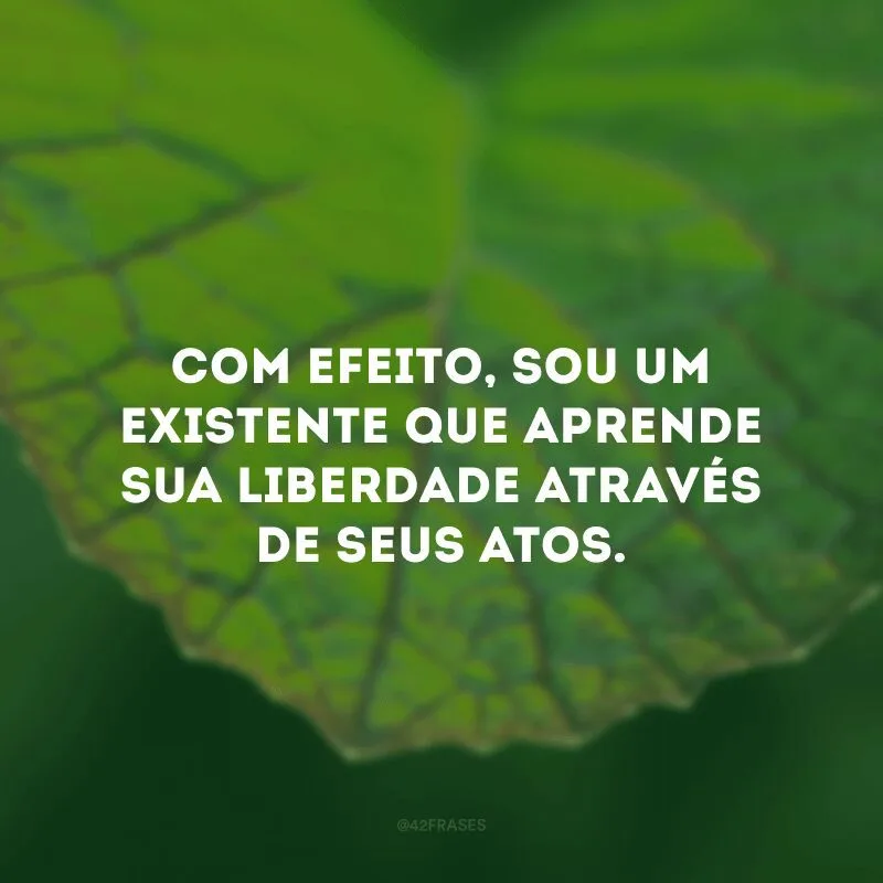 Com efeito, sou um existente que aprende sua liberdade através de seus atos.
