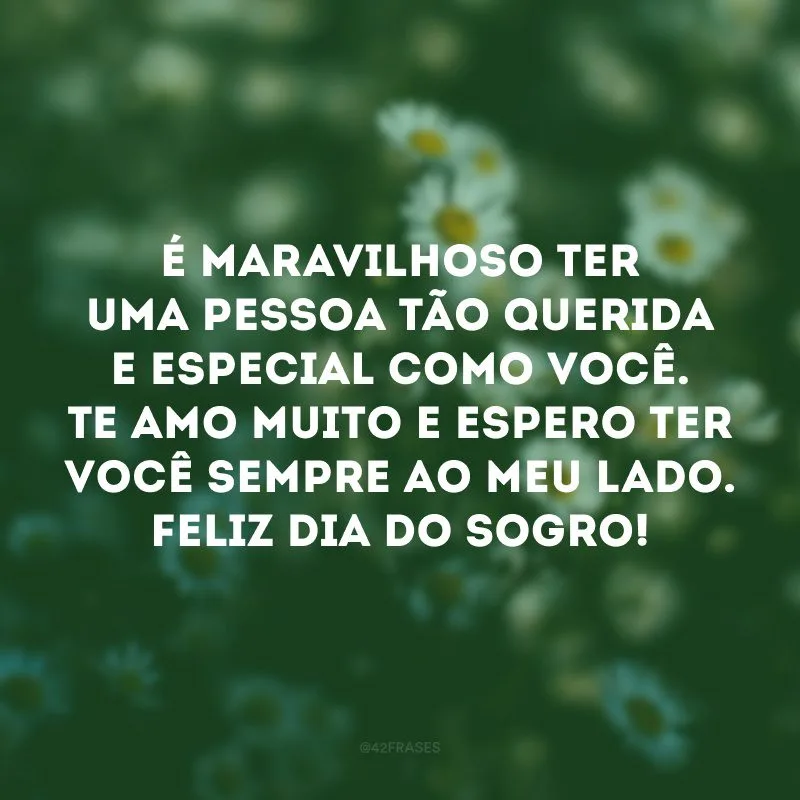 É maravilhoso ter uma pessoa tão querida e especial como você. Te amo muito e espero ter você sempre ao meu lado. Feliz Dia do Sogro! 