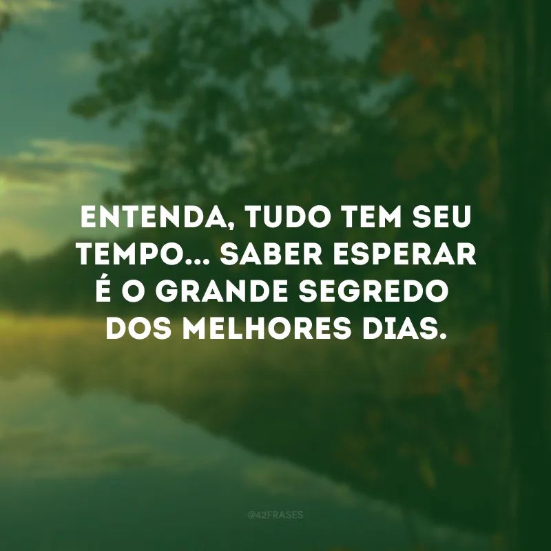 Entenda, tudo tem seu tempo... Saber esperar é o grande segredo dos melhores dias.



