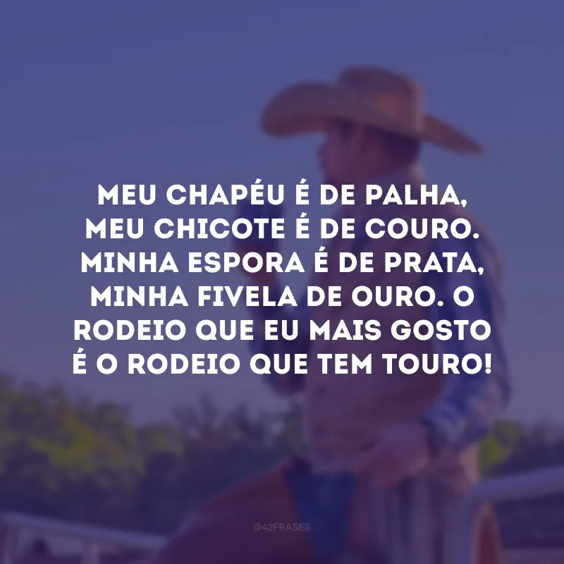 Meu chapéu é de palha, meu chicote é de couro. Minha espora é de prata, minha fivela de ouro. O rodeio que eu mais gosto é o rodeio que tem touro!

