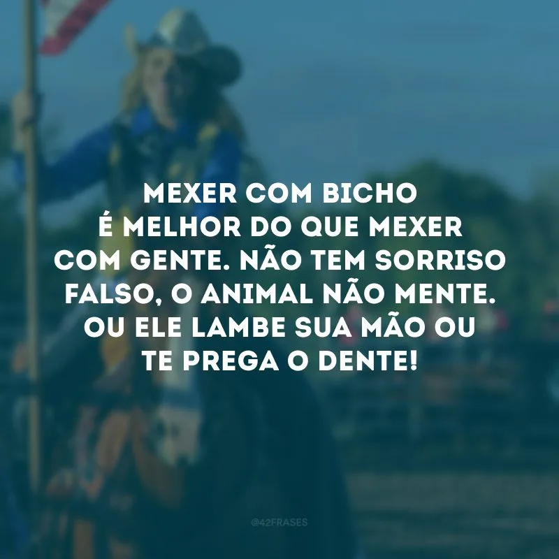 Mexer com bicho é melhor do que mexer com gente. Não tem sorriso falso, o animal não mente. Ou ele lambe sua mão ou te prega o dente!