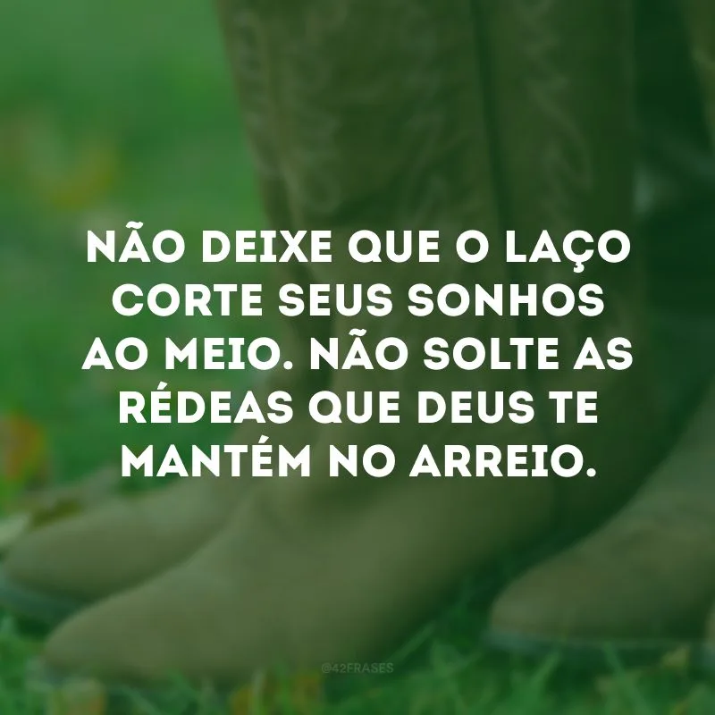 Não deixe que o laço corte seus sonhos ao meio. Não solte as rédeas que Deus te mantém no arreio. 
