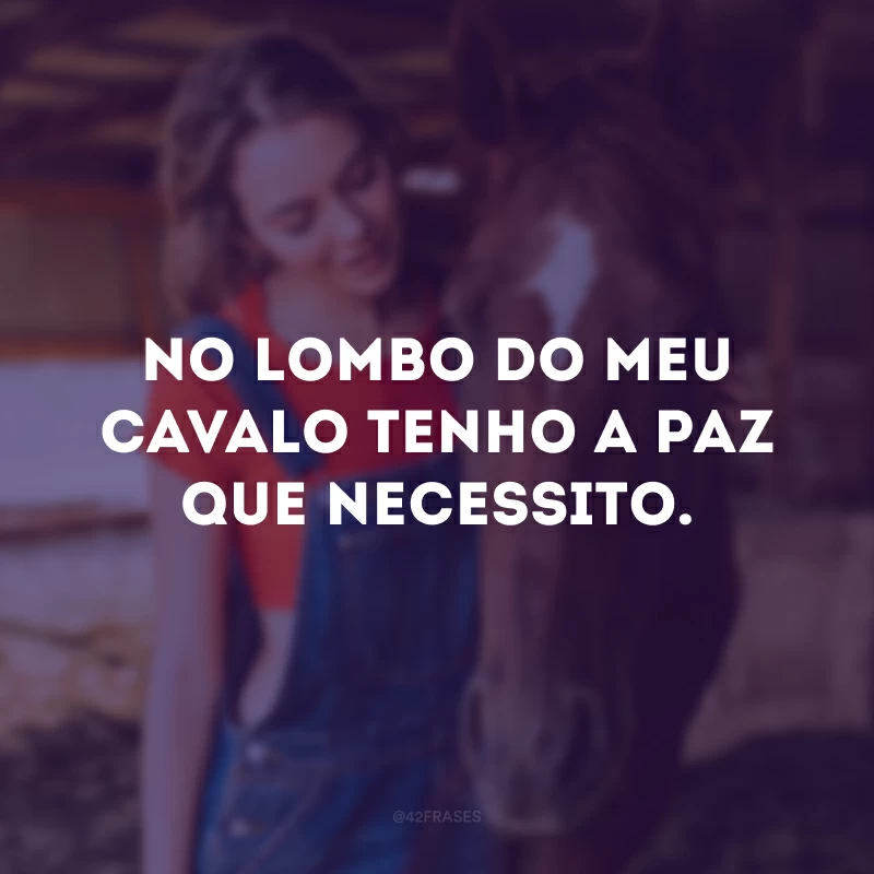 No lombo do meu cavalo tenho a paz que necessito.