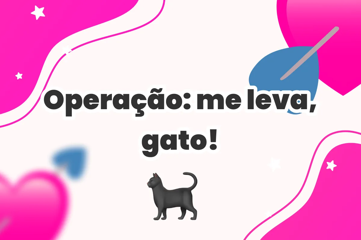 Operação: me leva, gato!